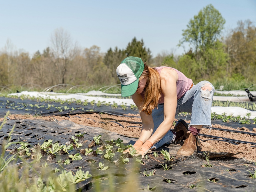 Alloggi in agricoltura: Linee di indirizzo e vademecum PAT