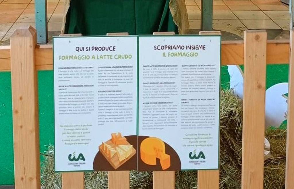 Informativa formaggi a latte crudo