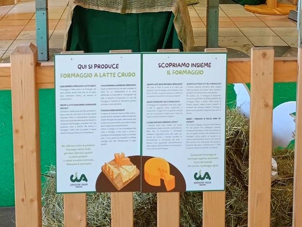 Informativa formaggi a latte crudo