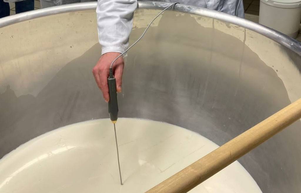 FORMAZIONE IGIENICO-SANITARIA E SISTEMA HACCP PER MINICASEIFICI