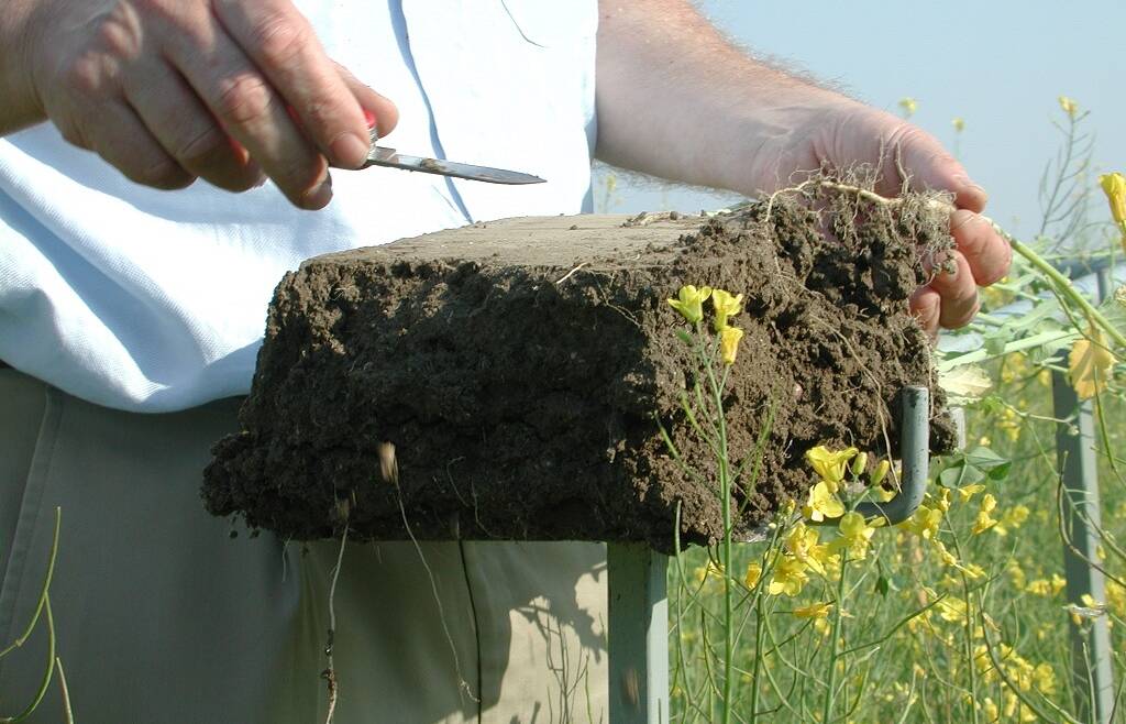 CORSO LA SALUTE DEL SUOLO AGROFORESTALE