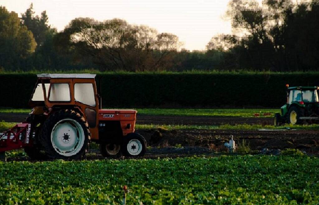 Aggiornamento fascicolo e domanda per il carburante agricolo agevolato