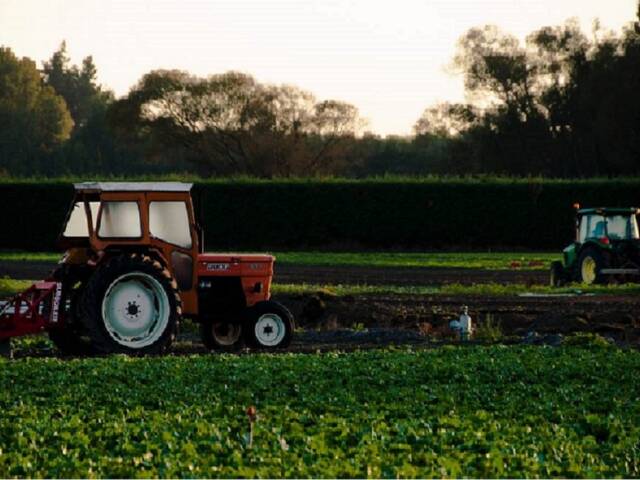 Aggiornamento fascicolo e domanda per il carburante agricolo agevolato