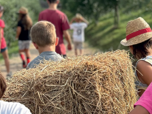Scampagnate in fattoria e in città 2025
