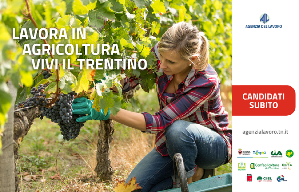 Lavorare nel settore agricolo