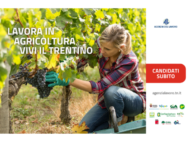 Lavorare nel settore agricolo