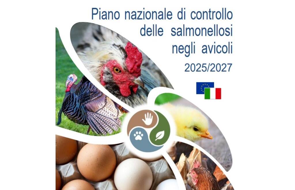 FAQ PIANO DI CONTROLLO SALMONELLA 2025-2027