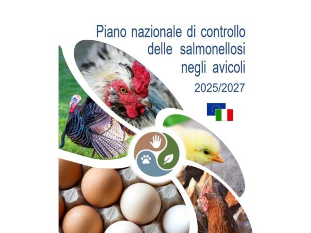 FAQ PIANO DI CONTROLLO SALMONELLA 2025-2027