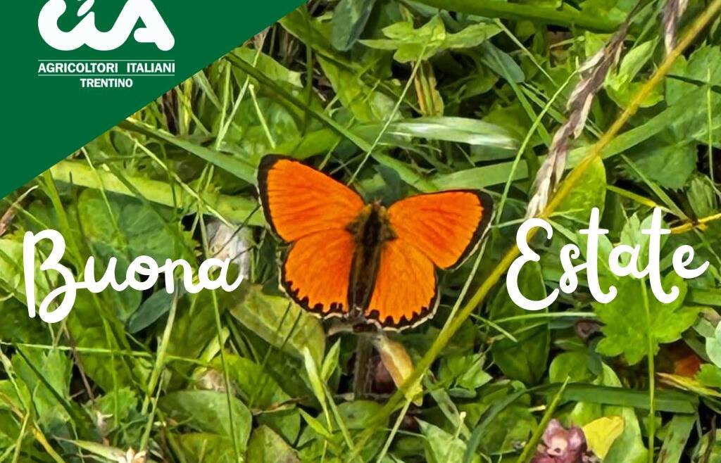 Chiusure estive uffici CIA del Trentino
