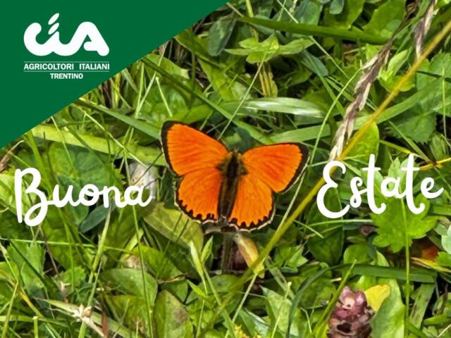 Chiusure estive uffici CIA del Trentino