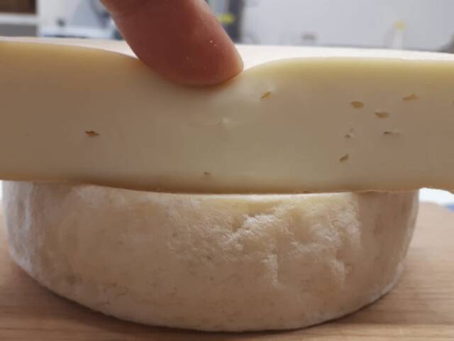 CORSO AVVICINAMENTO ALLA CASEIFICAZIONE
