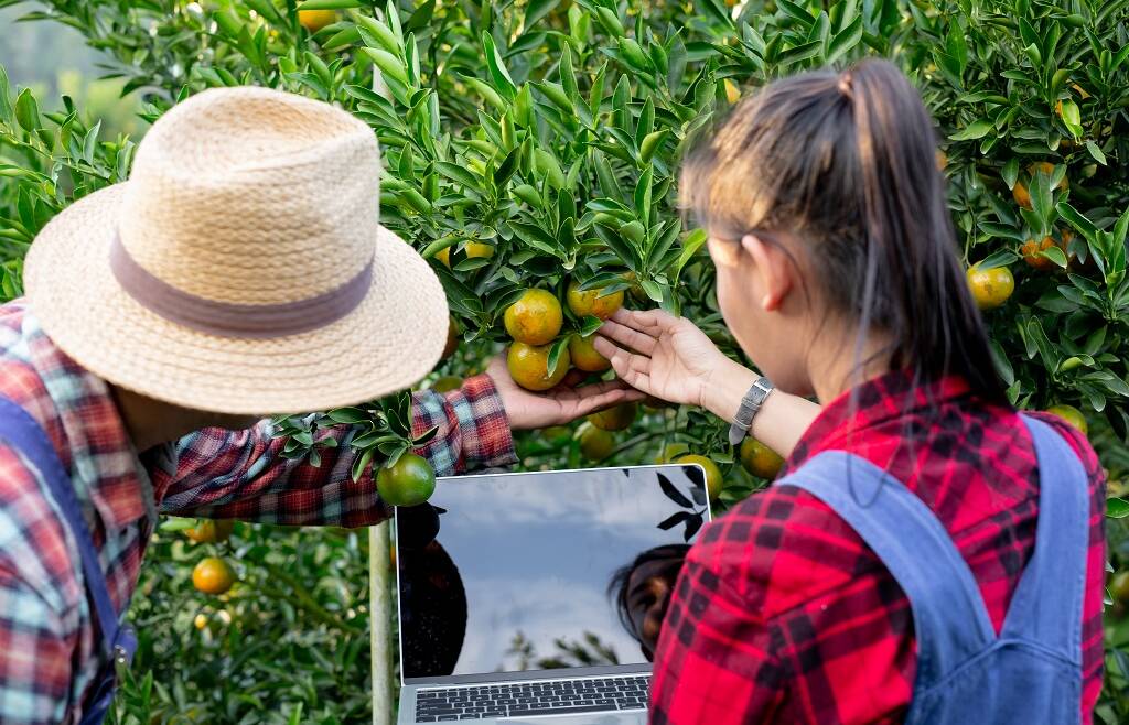 Credito d’imposta per la formazione dei giovani agricoltori (L.36/2024)
