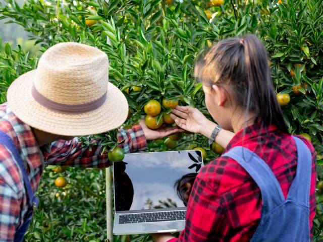 Credito d’imposta per la formazione dei giovani agricoltori (L.36/2024)