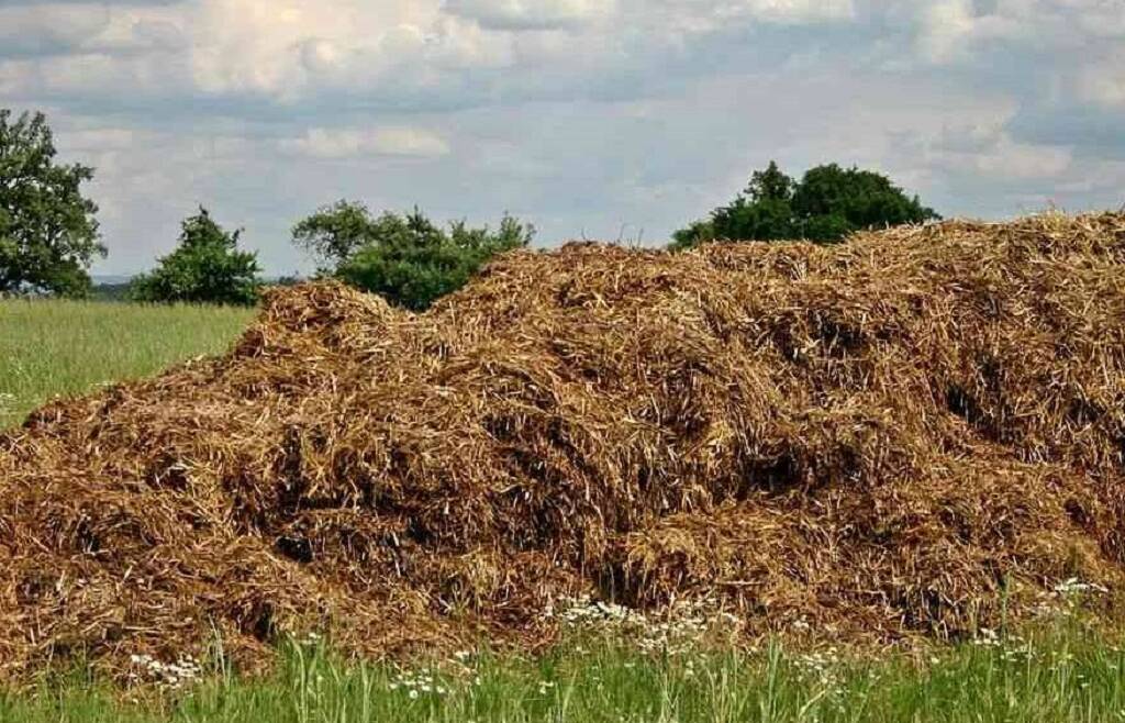 Biometano e biogas: incentivi PNRR per “Pratiche Ecologiche”