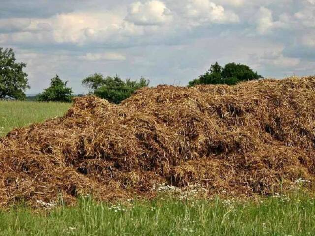 Biometano e biogas: incentivi PNRR per “Pratiche Ecologiche”