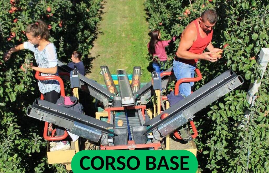 CORSO TEORICO-PRATICO PER LAVORATORI ADDETTI ALLA CONDUZIONE MACCHINA AGRICOLA RACCOGLIFRUTTA