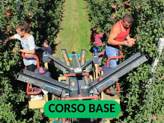 CORSO TEORICO-PRATICO PER LAVORATORI ADDETTI ALLA CONDUZIONE MACCHINA AGRICOLA RACCOGLIFRUTTA