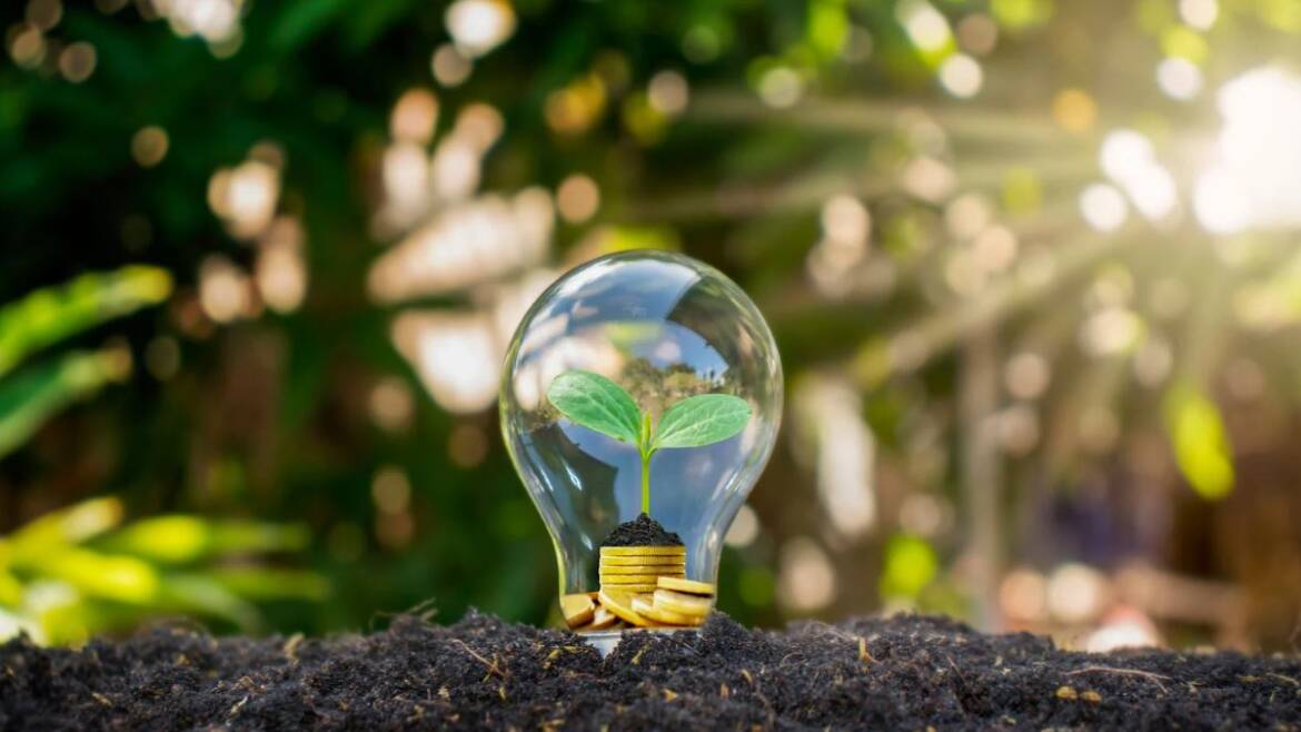 Energia rinnovabile in agricoltura