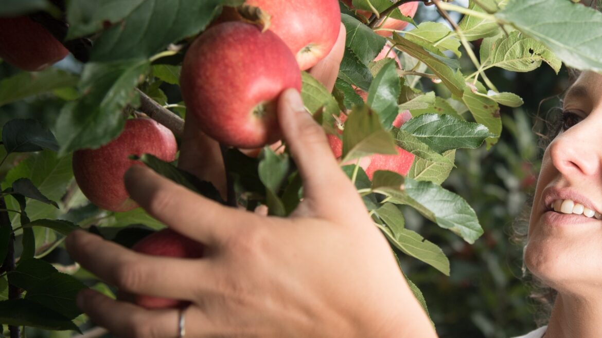Seminario Salute e sicurezza in ottica di genere