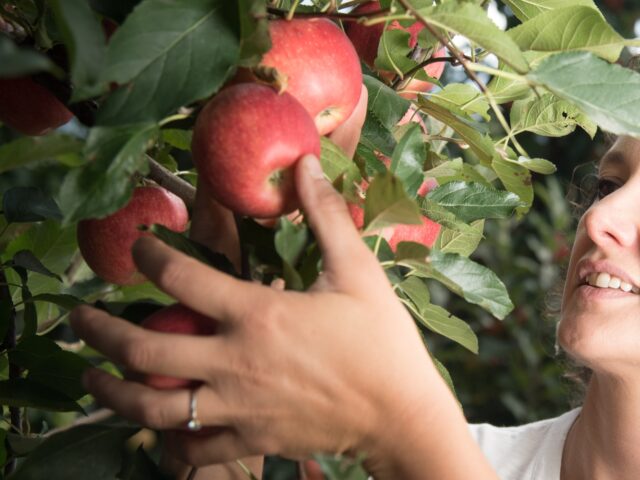 Seminario Salute e sicurezza in ottica di genere