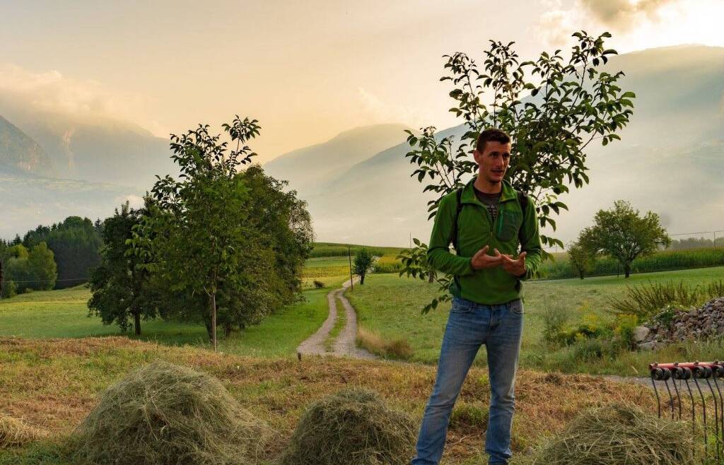 corso COLTIVARE IL PRATO