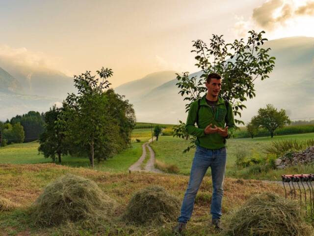 corso COLTIVARE IL PRATO