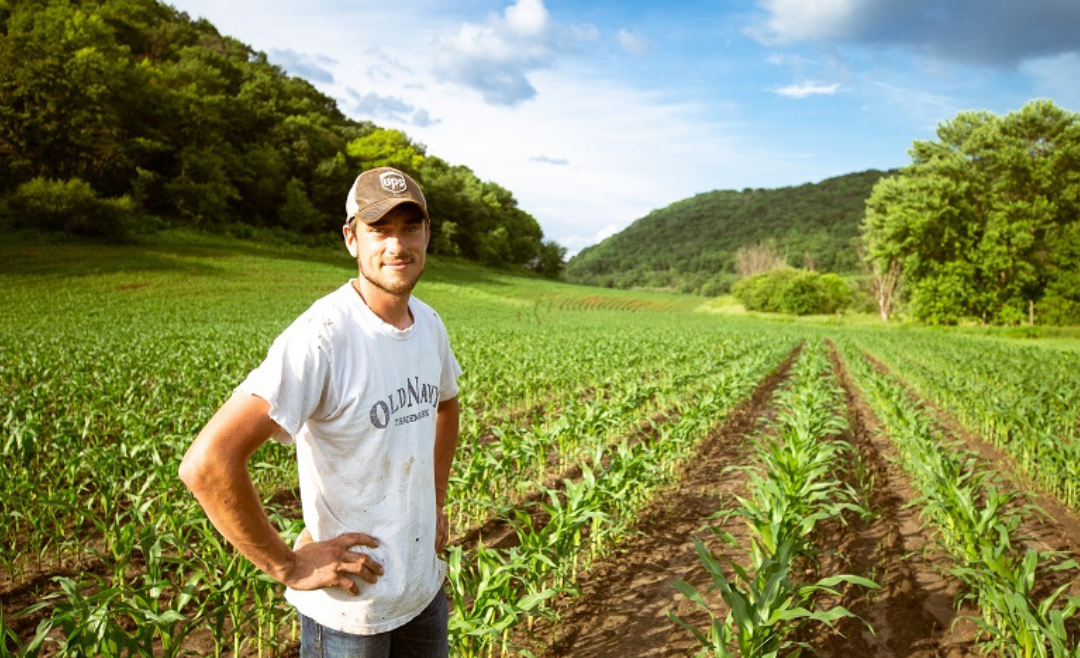 Fondo per la sovranità alimentare – Campagna 2025: seminarvi