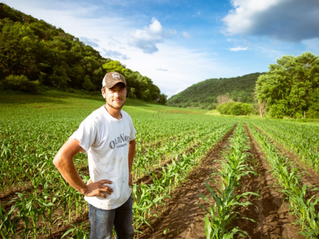 Fondo per la sovranità alimentare – Campagna 2025: seminarvi