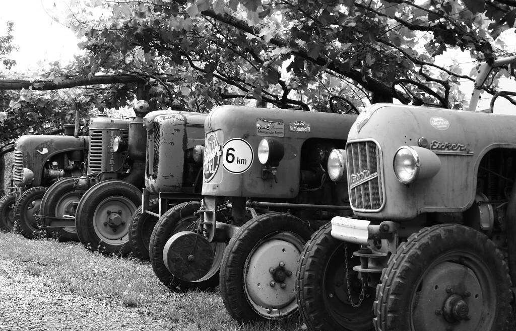 Bando ISMEA 2026: contributi per la sicurezza dei trattori agricoli e forestali
