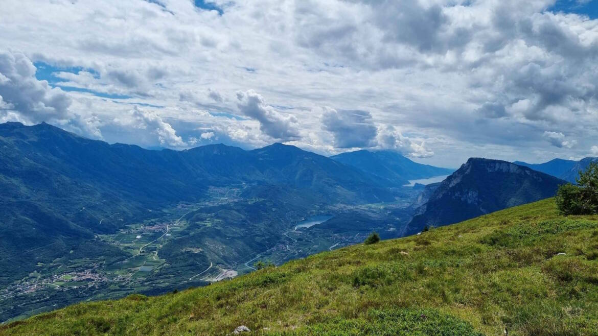 CONTRIBUTO PROVINCIALE AI COLTIVATORI DIRETTI OPERANTI IN ZONA SVANTAGGIATA