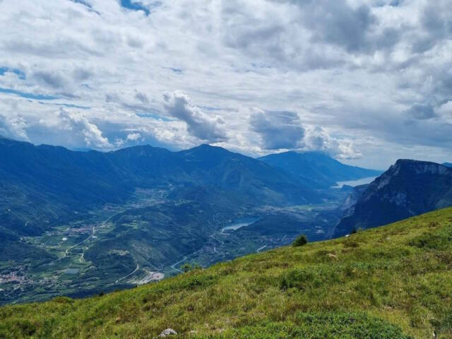 CONTRIBUTO PROVINCIALE AI COLTIVATORI DIRETTI OPERANTI IN ZONA SVANTAGGIATA