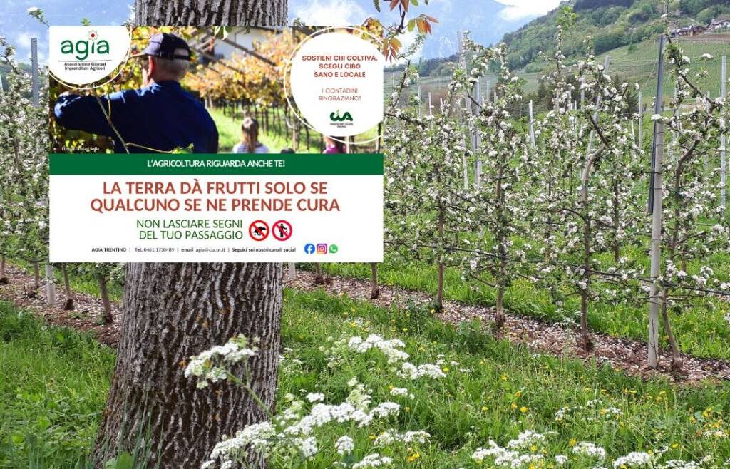 Nuovi cartelli AGIA!