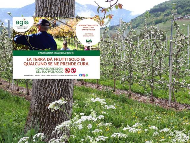 Nuovi cartelli AGIA!