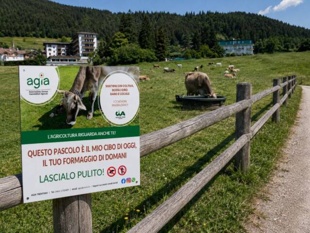 Nuovi cartelli AGIA!