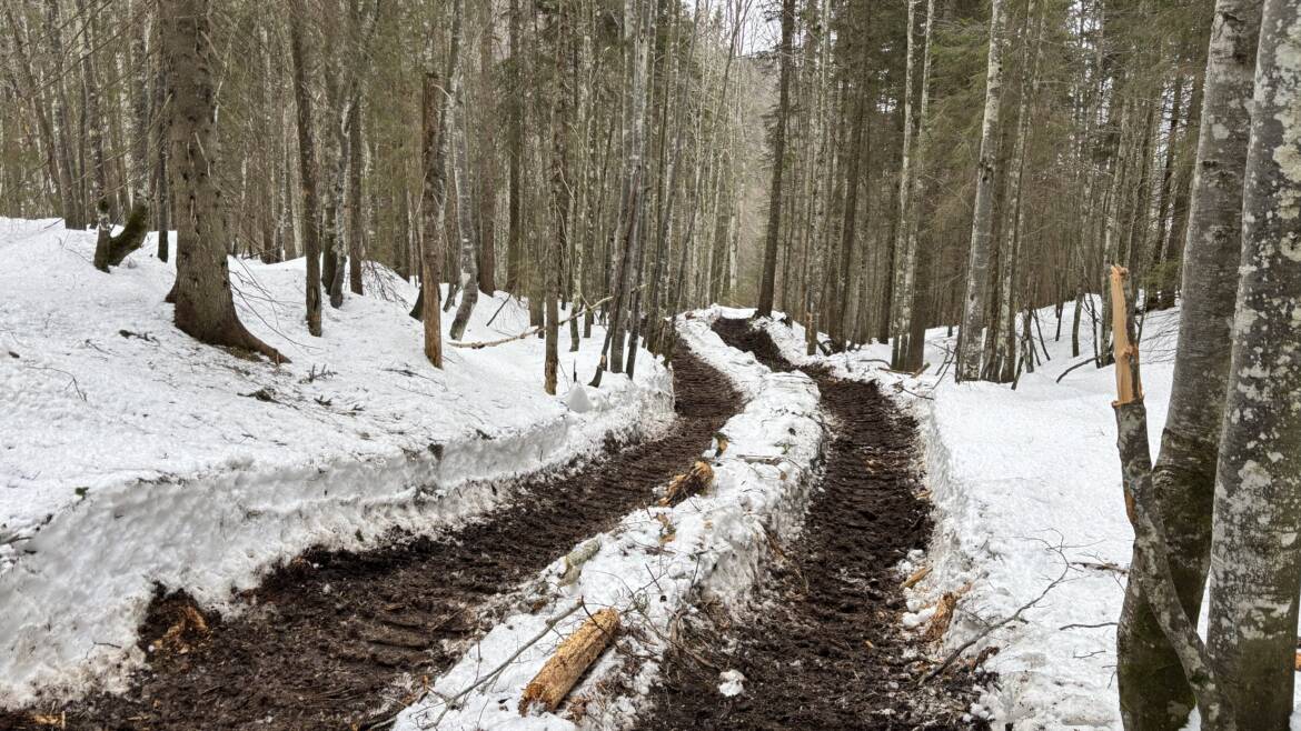 CORSO La salute del suolo agroforestale. Meccanizzazione forestale e tutela del suolo