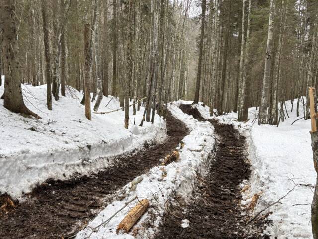 CORSO La salute del suolo agroforestale. Meccanizzazione forestale e tutela del suolo